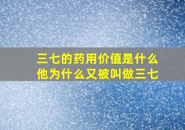 三七的药用价值是什么他为什么又被叫做三七