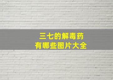 三七的解毒药有哪些图片大全