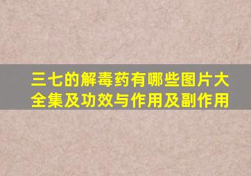 三七的解毒药有哪些图片大全集及功效与作用及副作用