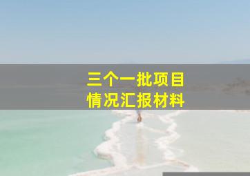 三个一批项目情况汇报材料