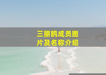 三丽鸥成员图片及名称介绍