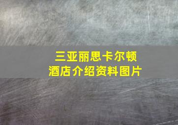 三亚丽思卡尔顿酒店介绍资料图片