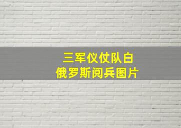 三军仪仗队白俄罗斯阅兵图片