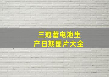 三冠蓄电池生产日期图片大全