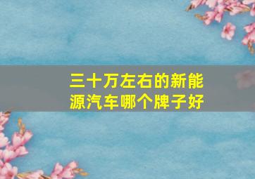 三十万左右的新能源汽车哪个牌子好