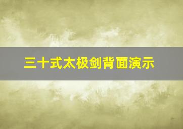 三十式太极剑背面演示