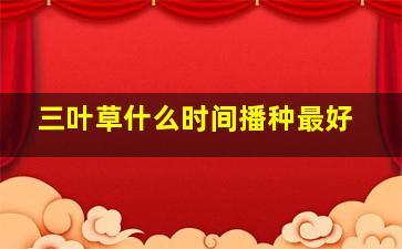 三叶草什么时间播种最好