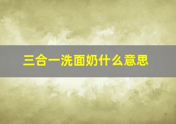 三合一洗面奶什么意思