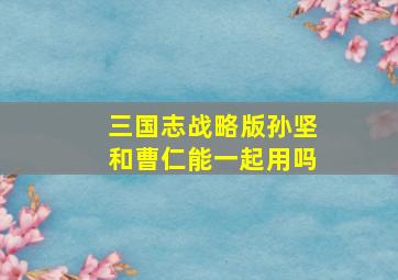 三国志战略版孙坚和曹仁能一起用吗