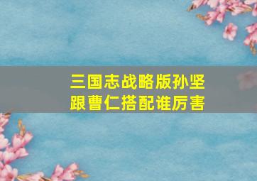 三国志战略版孙坚跟曹仁搭配谁厉害