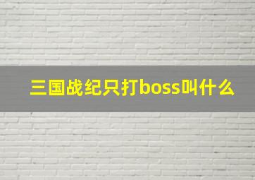 三国战纪只打boss叫什么