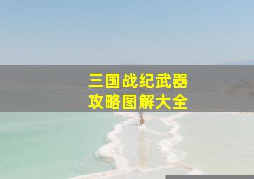 三国战纪武器攻略图解大全