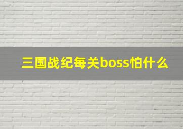 三国战纪每关boss怕什么