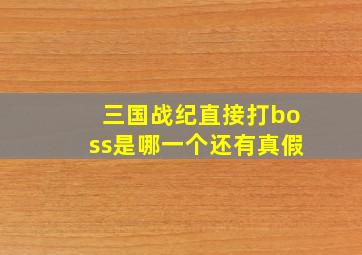 三国战纪直接打boss是哪一个还有真假