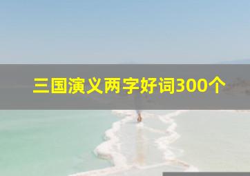 三国演义两字好词300个