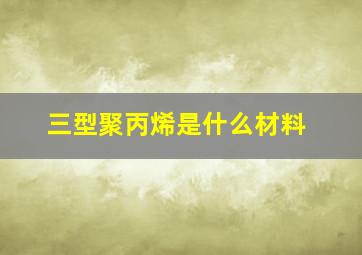 三型聚丙烯是什么材料