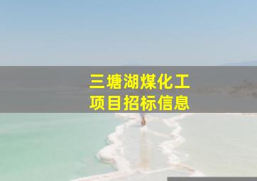 三塘湖煤化工项目招标信息