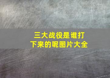 三大战役是谁打下来的呢图片大全