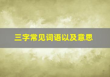 三字常见词语以及意思