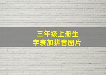 三年级上册生字表加拼音图片