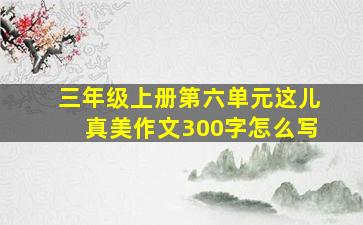 三年级上册第六单元这儿真美作文300字怎么写