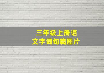 三年级上册语文字词句篇图片