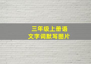 三年级上册语文字词默写图片