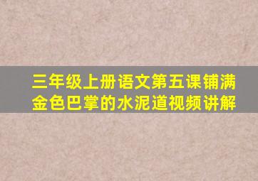 三年级上册语文第五课铺满金色巴掌的水泥道视频讲解