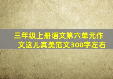 三年级上册语文第六单元作文这儿真美范文300字左右