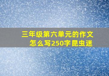 三年级第六单元的作文怎么写250字昆虫迷