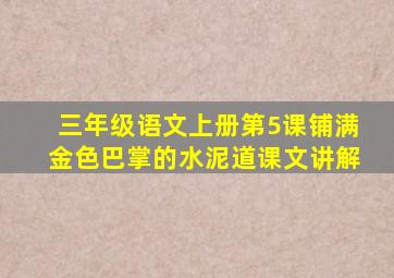 三年级语文上册第5课铺满金色巴掌的水泥道课文讲解