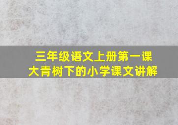 三年级语文上册第一课大青树下的小学课文讲解