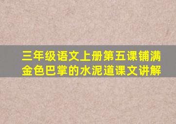 三年级语文上册第五课铺满金色巴掌的水泥道课文讲解