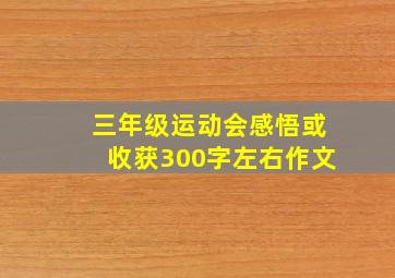 三年级运动会感悟或收获300字左右作文