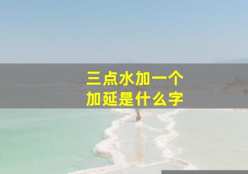 三点水加一个加延是什么字