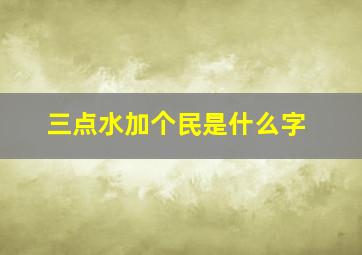 三点水加个民是什么字