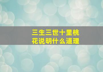 三生三世十里桃花说明什么道理