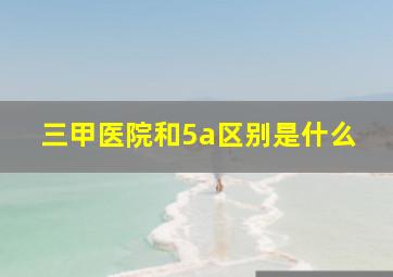 三甲医院和5a区别是什么