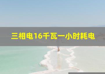 三相电16千瓦一小时耗电