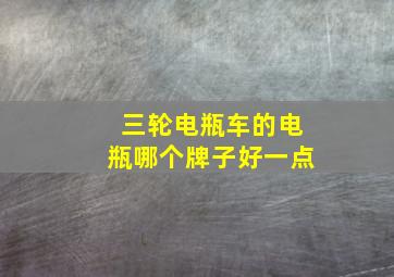 三轮电瓶车的电瓶哪个牌子好一点