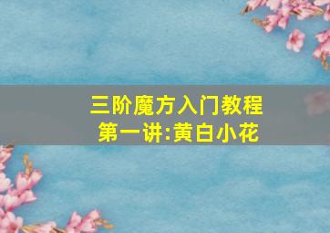 三阶魔方入门教程第一讲:黄白小花