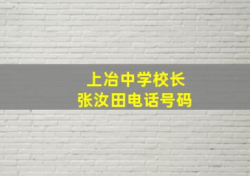 上冶中学校长张汝田电话号码