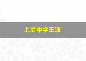 上冶中学王波