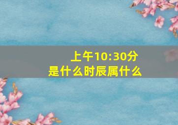 上午10:30分是什么时辰属什么