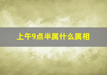 上午9点半属什么属相