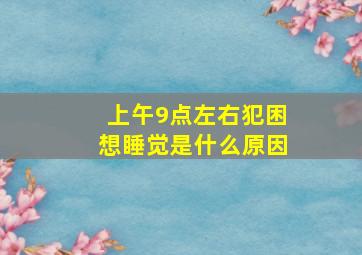 上午9点左右犯困想睡觉是什么原因