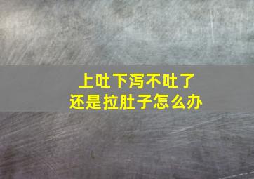 上吐下泻不吐了还是拉肚子怎么办