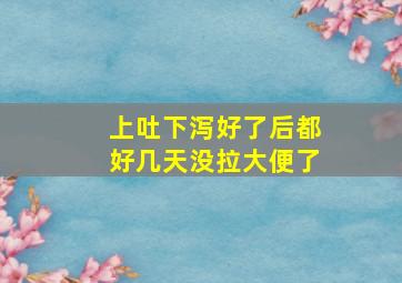 上吐下泻好了后都好几天没拉大便了