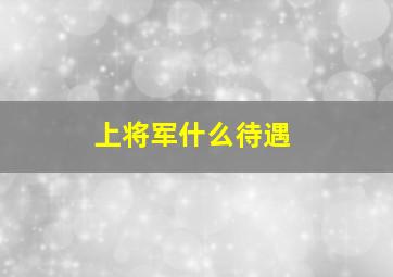 上将军什么待遇