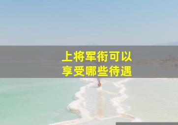 上将军衔可以享受哪些待遇